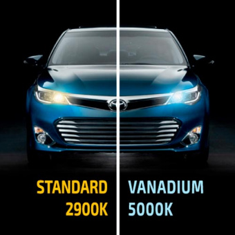 ���������� ����� �B4 MTF Vanadium 5000K