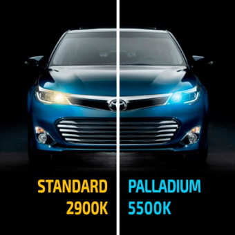 ���������� ����� �B3 MTF Palladium 5500K